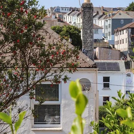 The Oystercatcher Falmouth